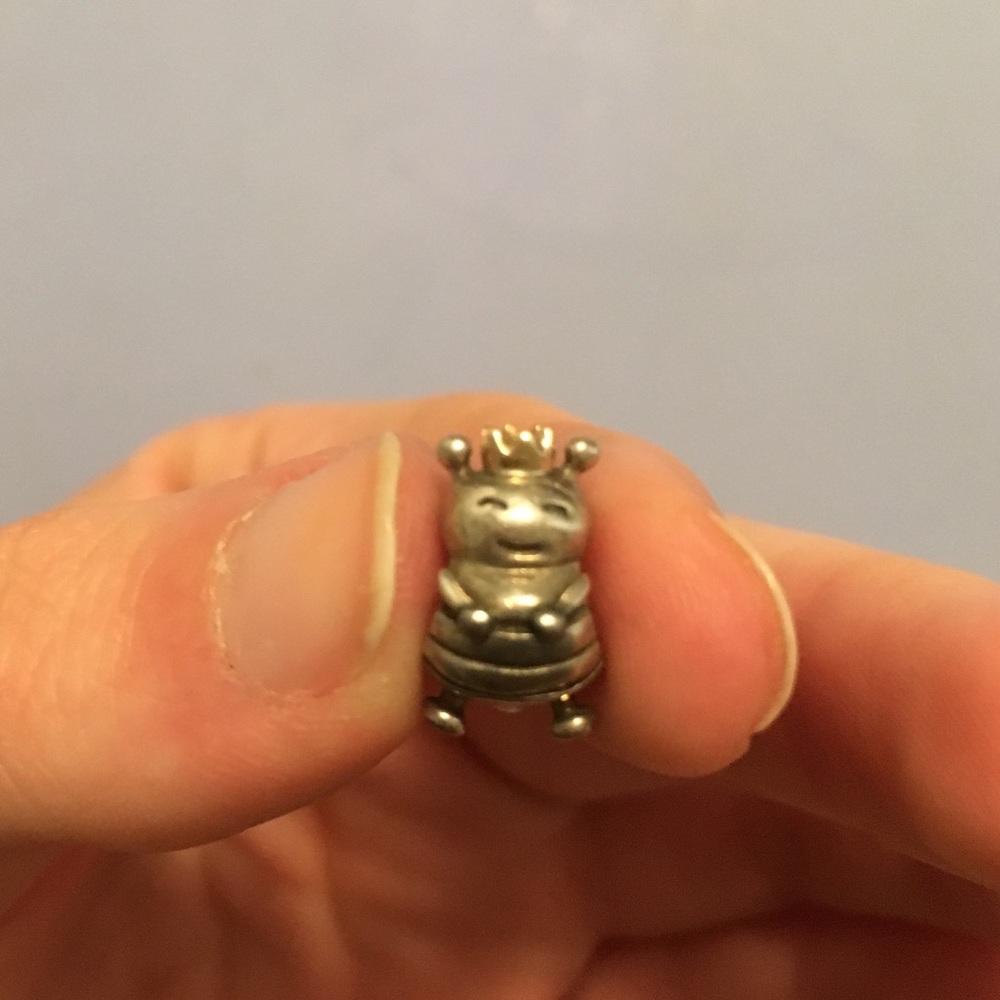 Pandora charm